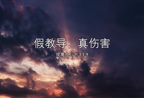 6. 假教导，真伤害_18 May 2025