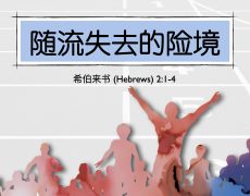 5. 随流失去的险境_1 Jun 2025