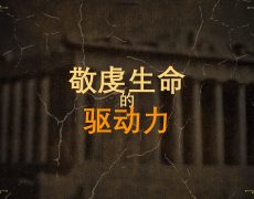8. 敬虔生命的驱动力_6 July 2025