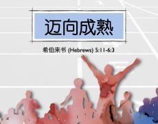 14. 迈向成熟_31 Aug 2025