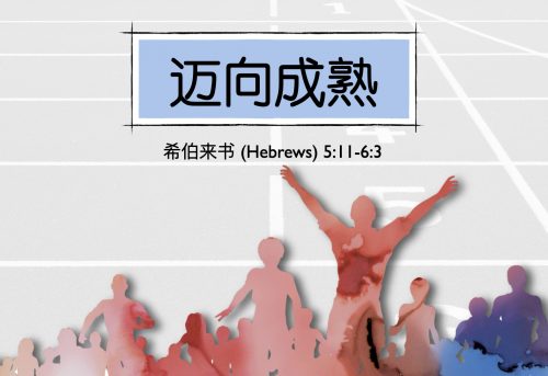 14. 迈向成熟_31 Aug 2025