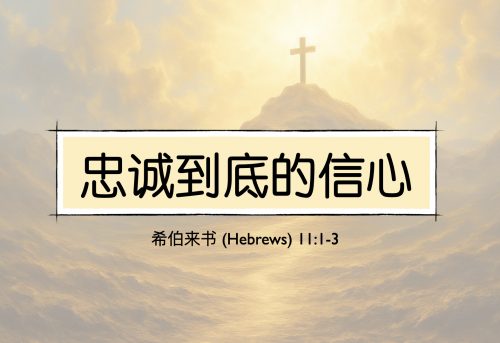30. 忠诚到底的信心_8 Feb 2026