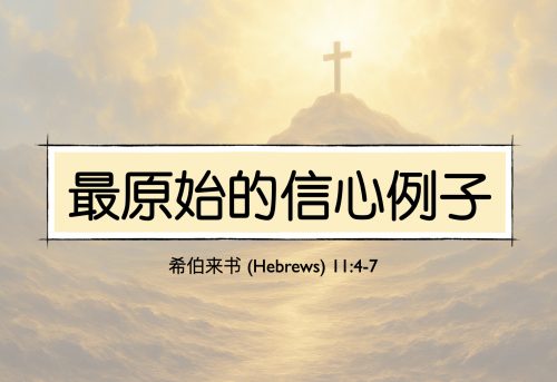 31. 最原始的信心例子_22 feb 2026