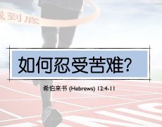 39. 如何忍受苦难？_17 May 2026