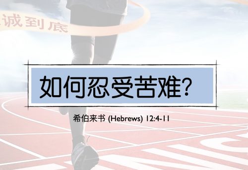 39. 如何忍受苦难？_17 May 2026