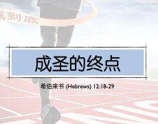 41. 成圣的终点_7 Jun 2026